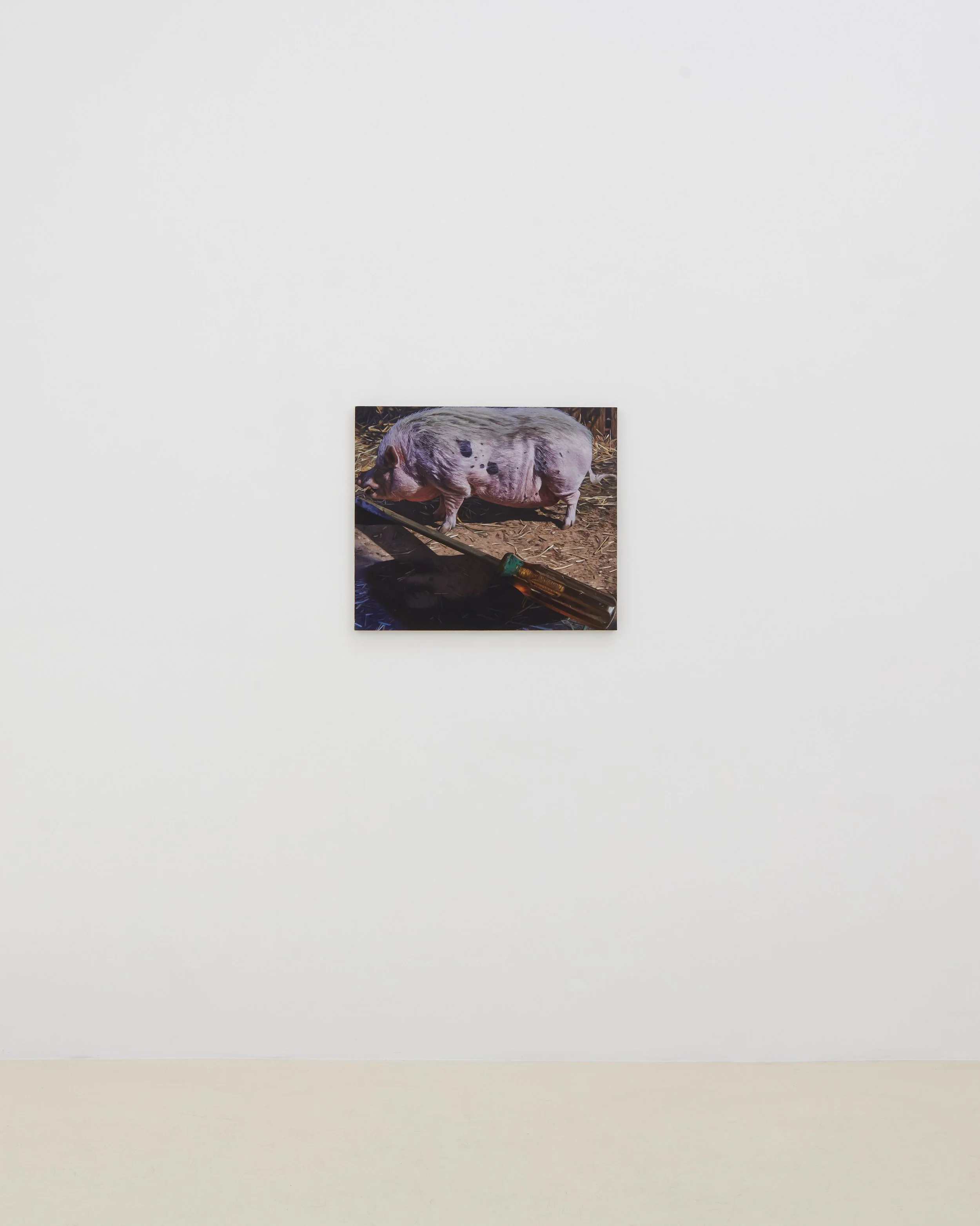 Adam Higgins: Lollipop