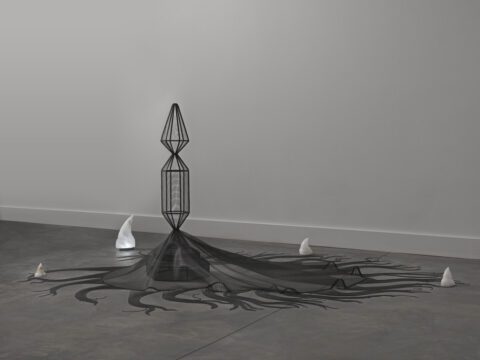 Installation view, Focus Gallery: Afruz Amighi: Sounding Shell, The Jewish Museum · 2026 (3)