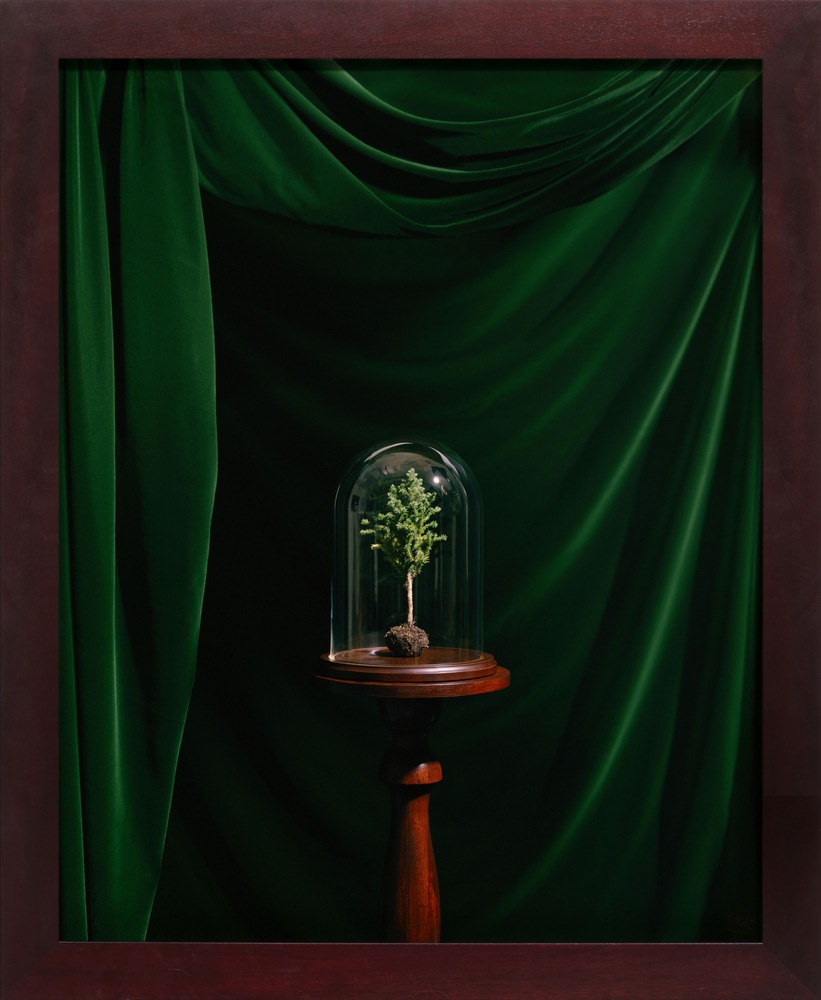 Liz Glynn: WOODS LANDS MEADOWS숲 · 대지 · 초원