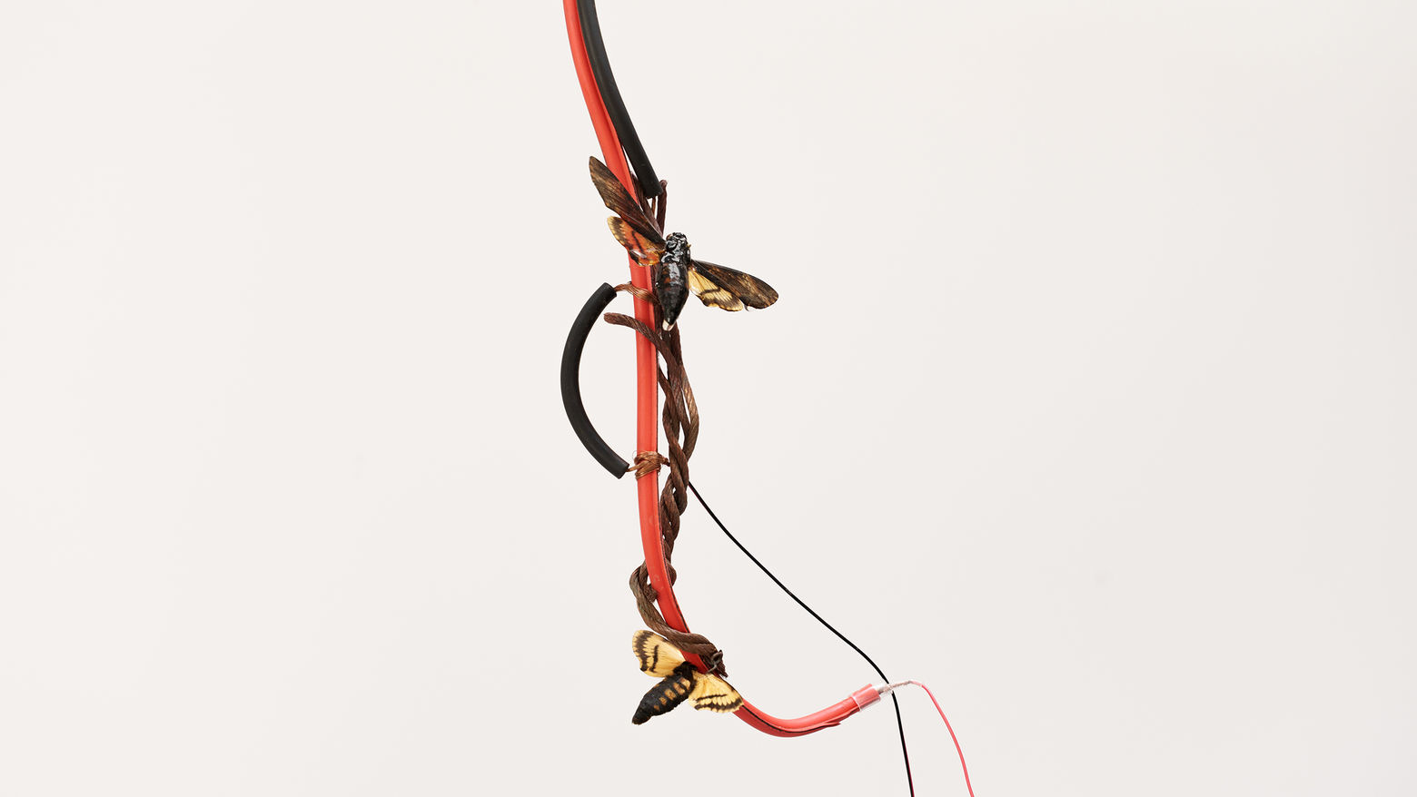 Vibeke Mascini: Hammer Projects