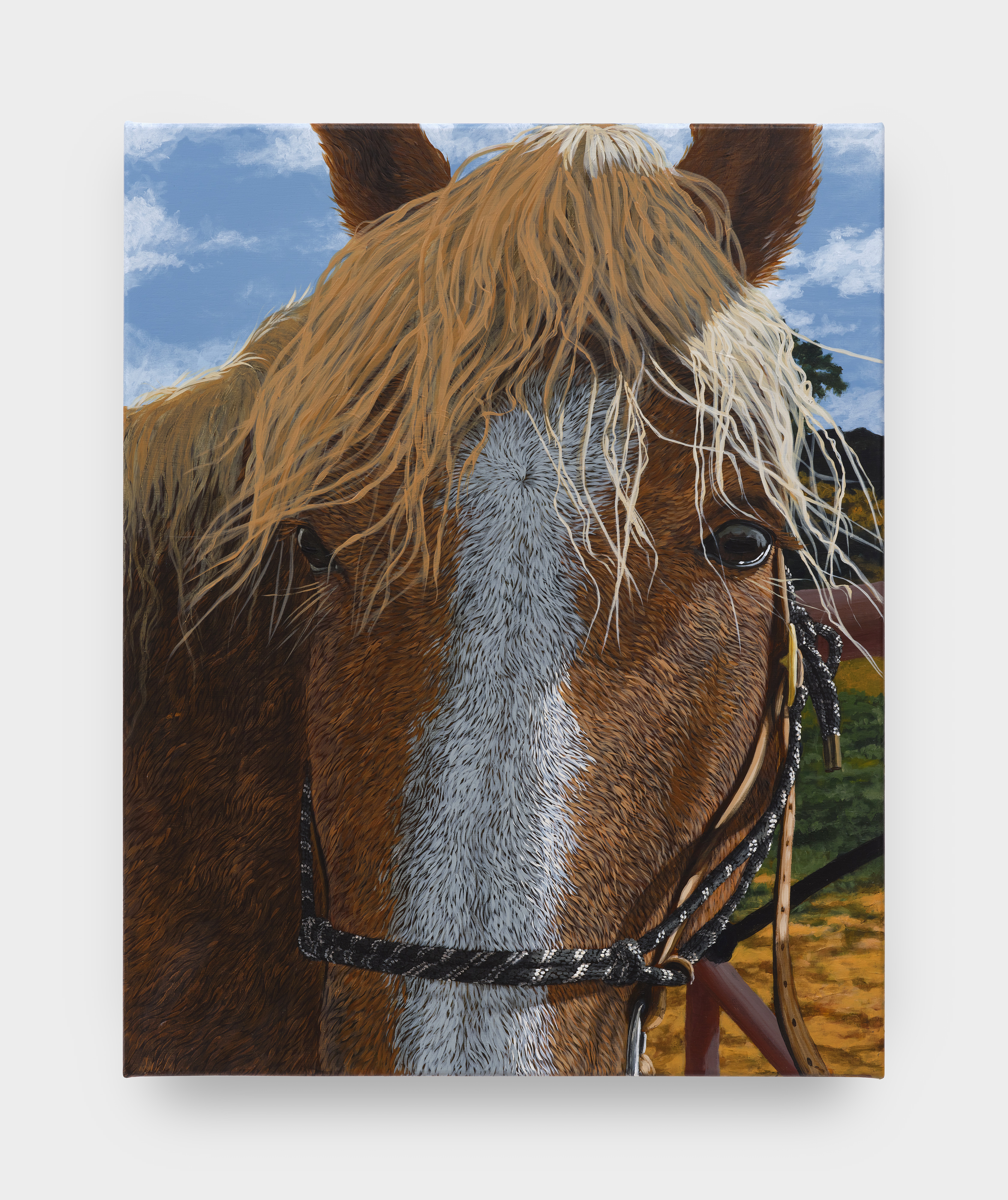 Sarah Miska: Happy Trails