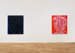 Installation view, Trip the Light Fantastic, Derek Elller · 2026 (4)