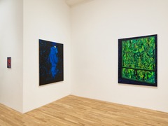 Installation view, Trip the Light Fantastic, Derek Elller · 2026 (7)