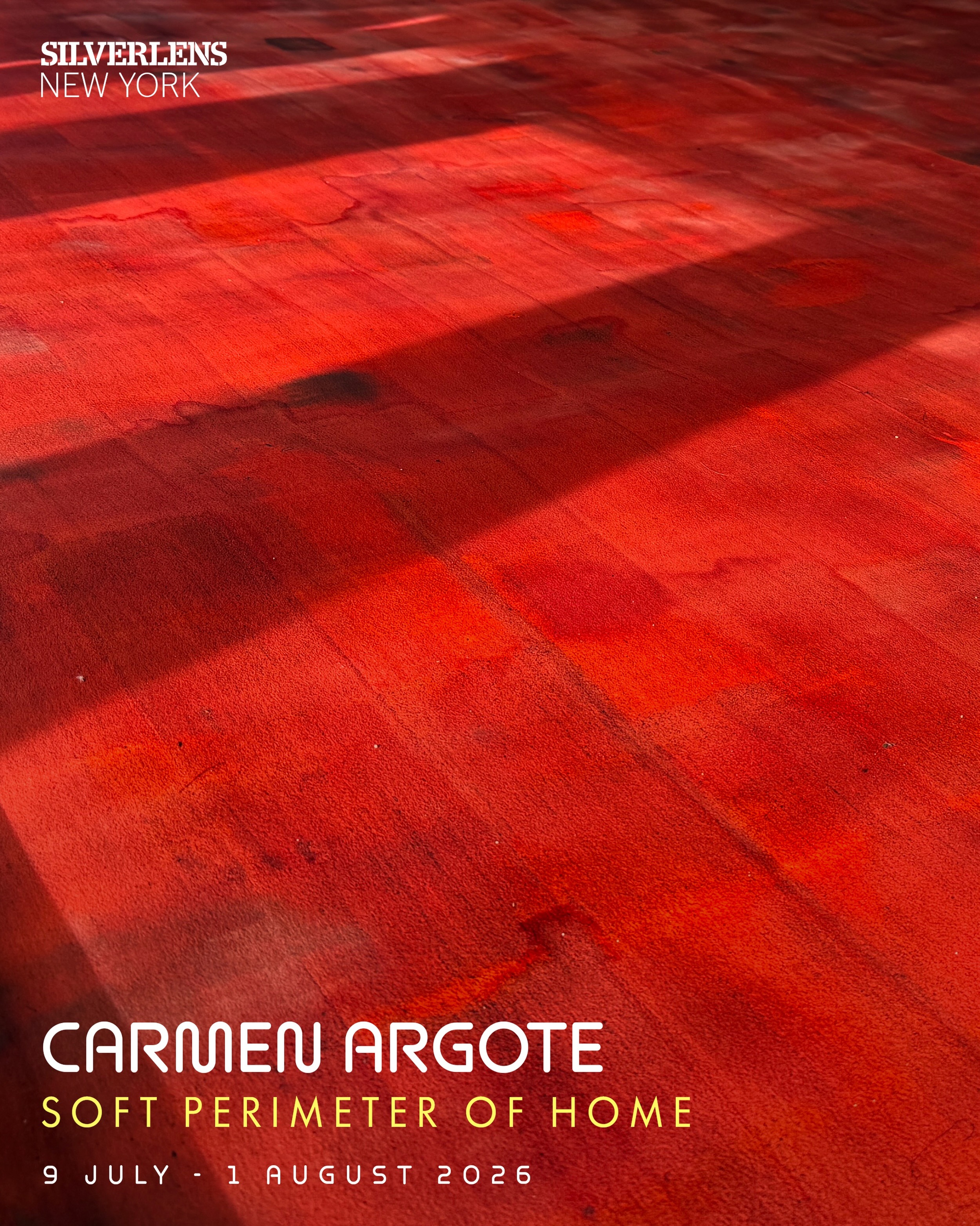 Carmen Argote: Soft Perimeter