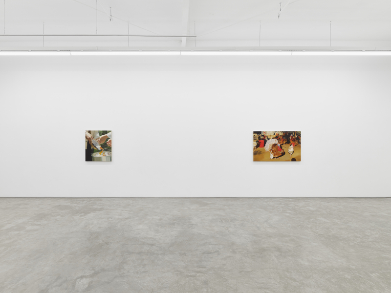 Shannon Cartier Lucy: Bucket of Birds
