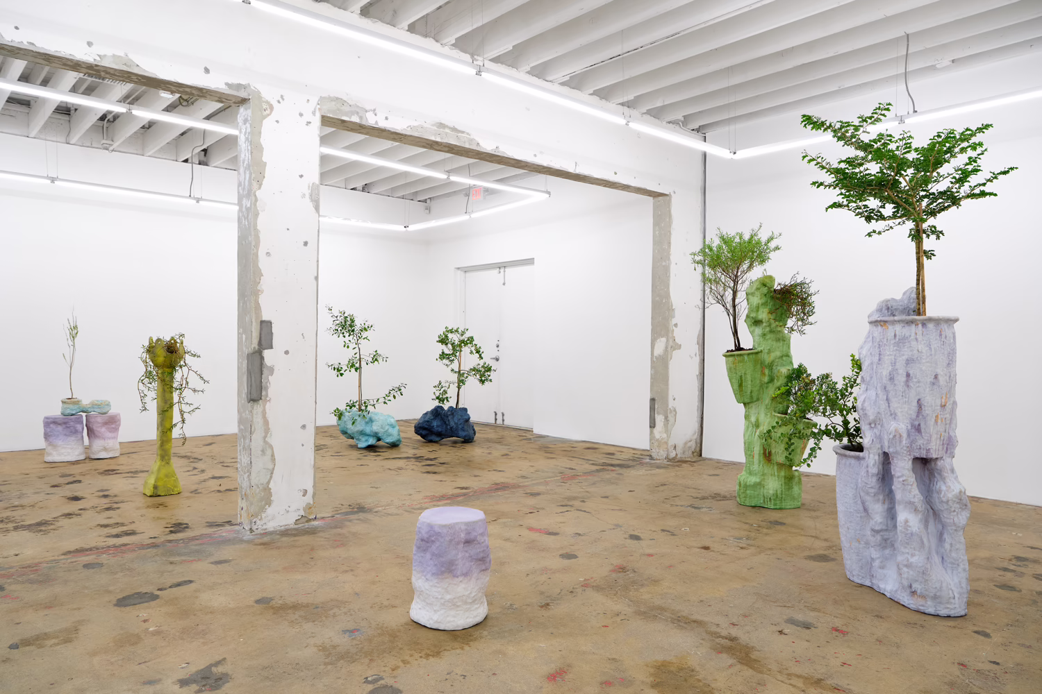 Installation view, Sculptures for Plants and People, Nina Johnson · 2026 (3)