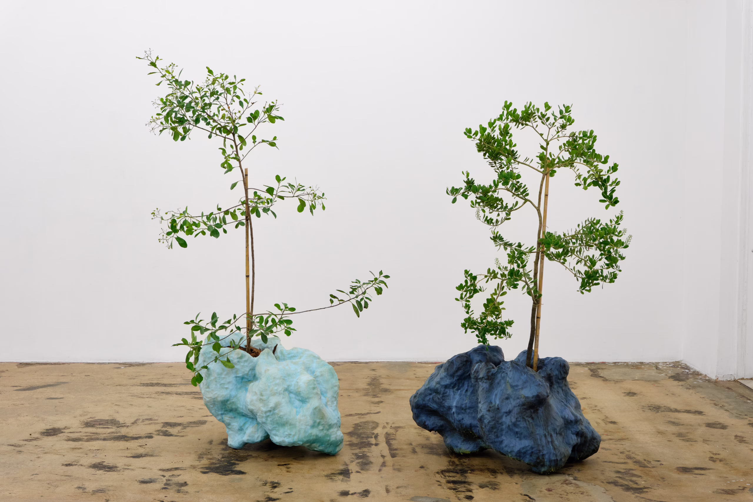 Installation view, Sculptures for Plants and People, Nina Johnson · 2026 (2)