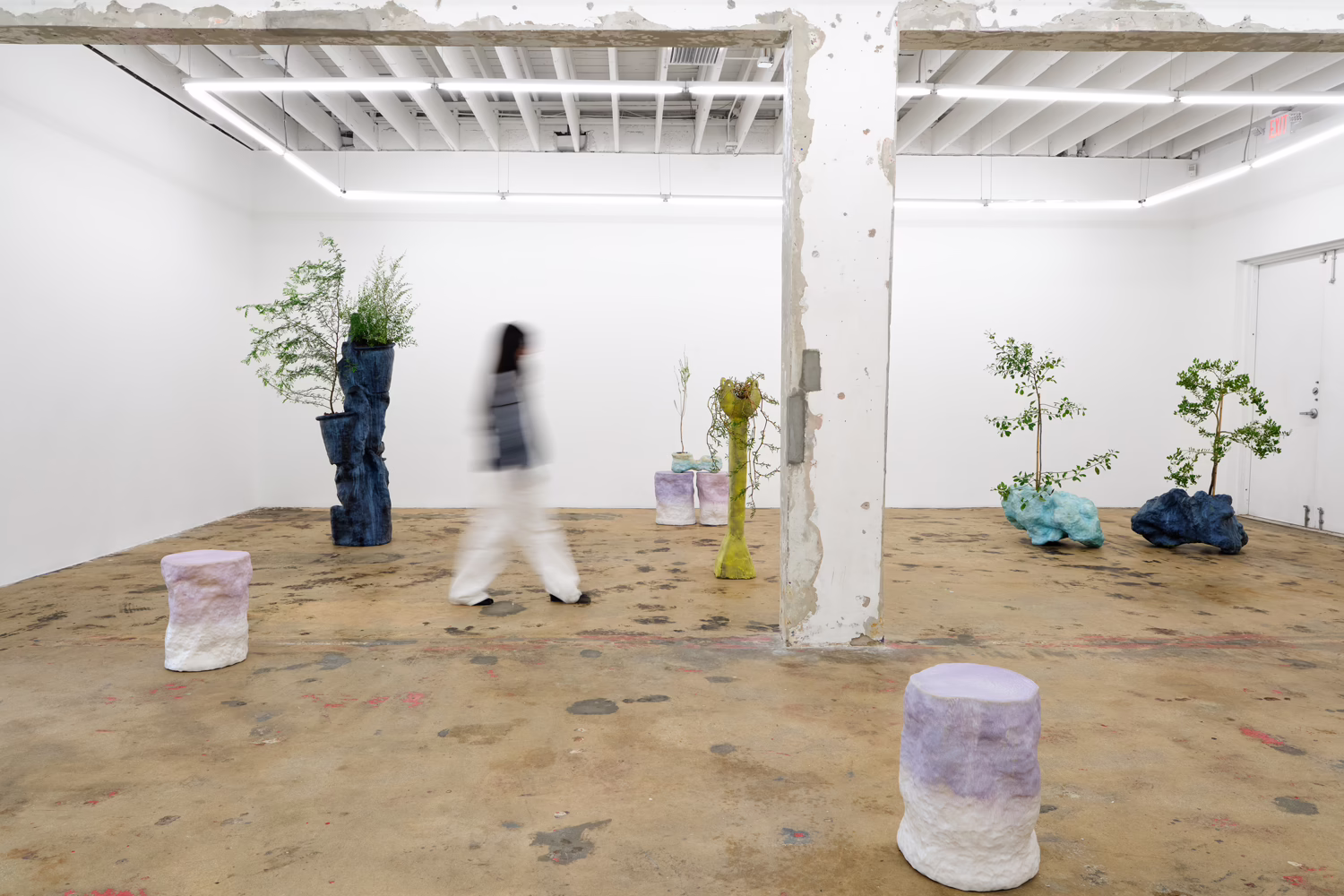 Installation view, Sculptures for Plants and People, Nina Johnson · 2026 (5)