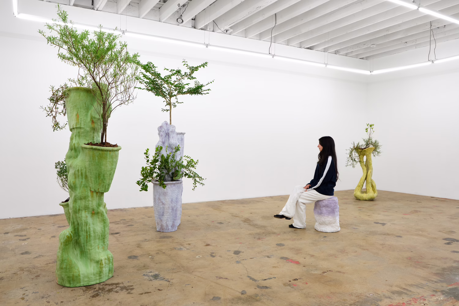 Installation view, Sculptures for Plants and People, Nina Johnson · 2026 (4)