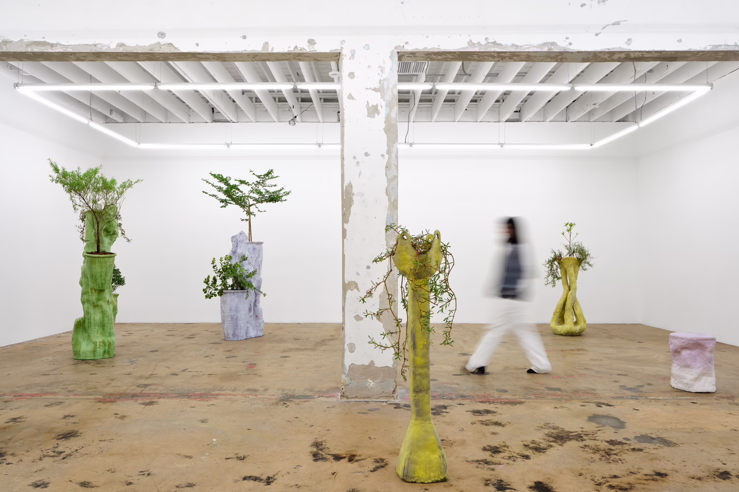 Installation view, Sculptures for Plants and People, Nina Johnson · 2026 (1)