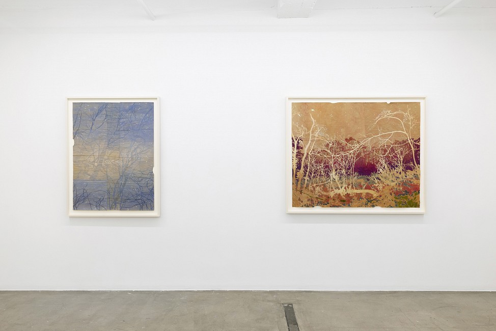 Maysey Craddock: to the heart of the woods