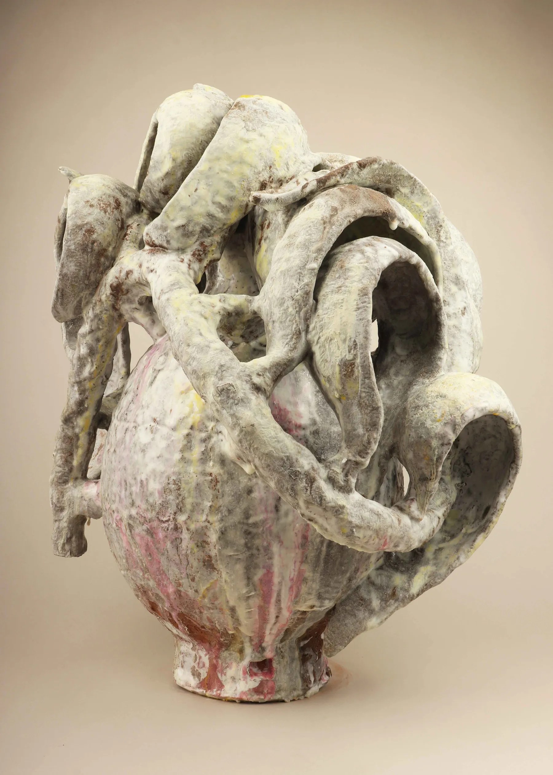 David Hicks: Trophies