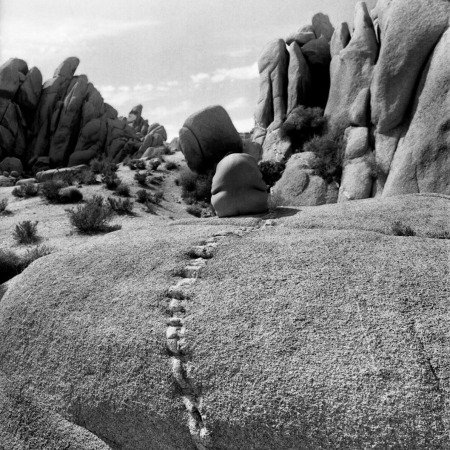 Laura Aguilar: Body and Landscape