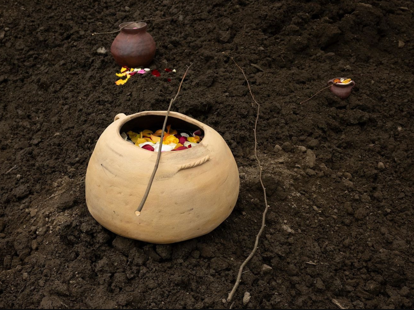 Several Eternities in a Day: Form in the Age of Living Materials