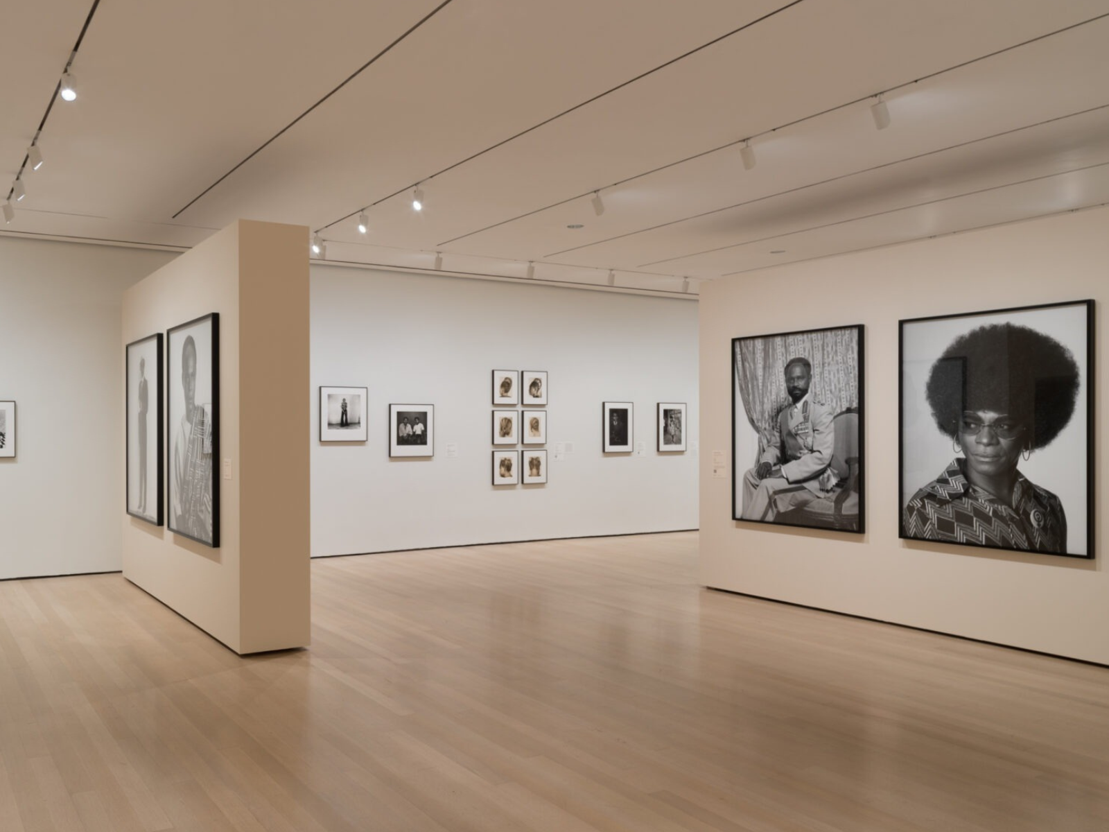 Ideas of Africa: Portraiture and Political Imagination