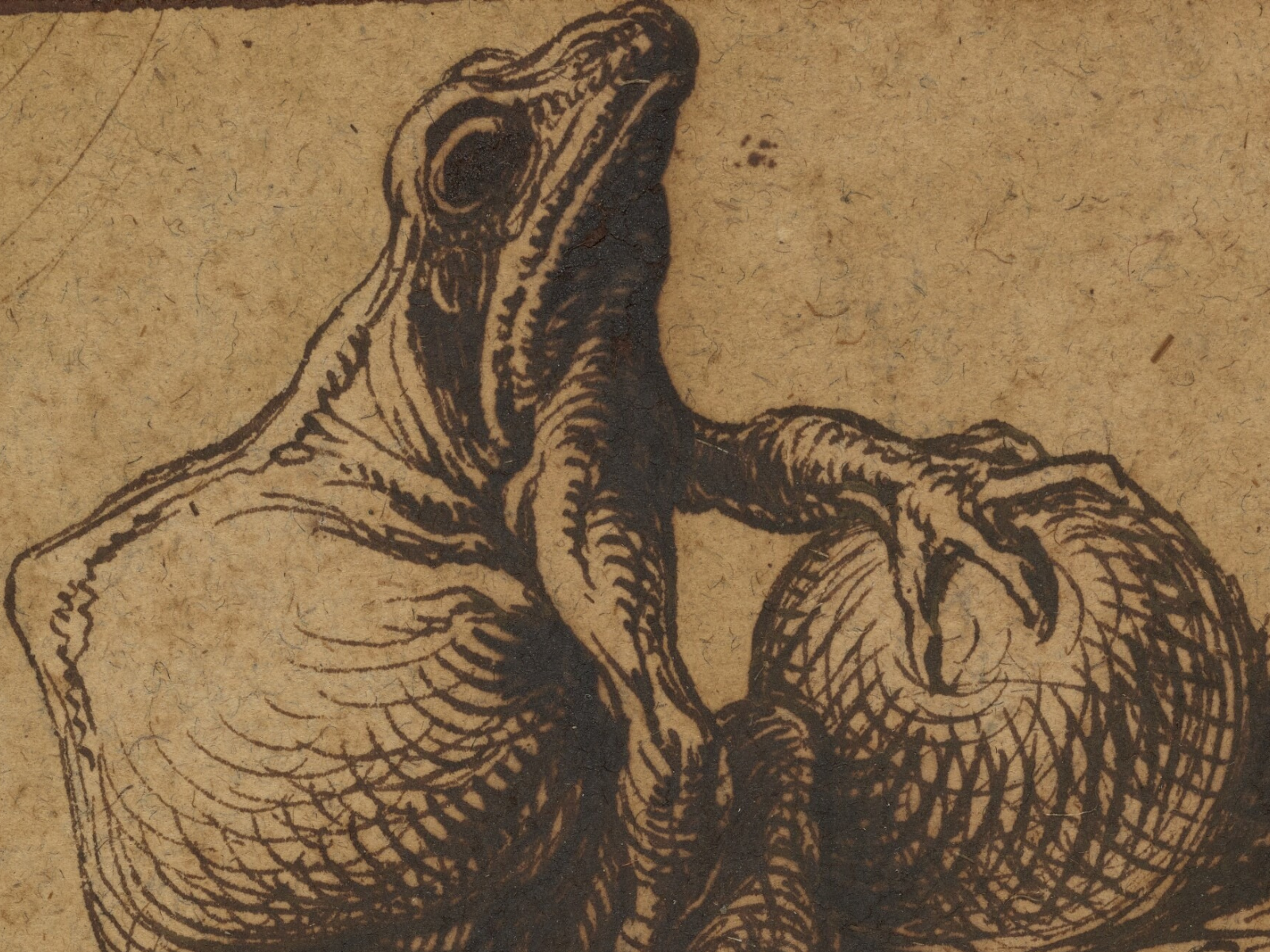 Artwrld | Virtue and Vice: Allegory in European Drawing