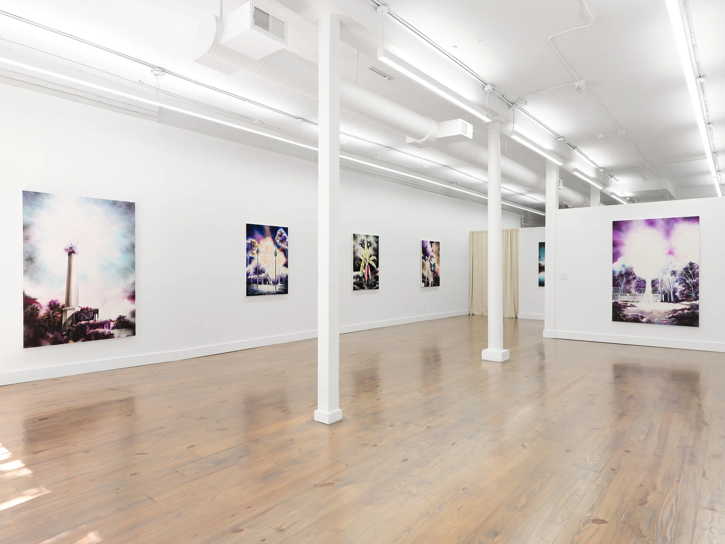 Gamaliel Rodríguez: A fluorescent realm