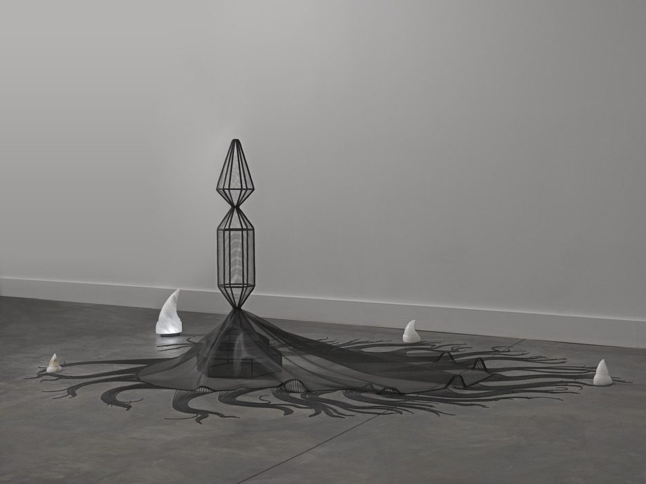 Focus Gallery: Afruz Amighi: Sounding Shell