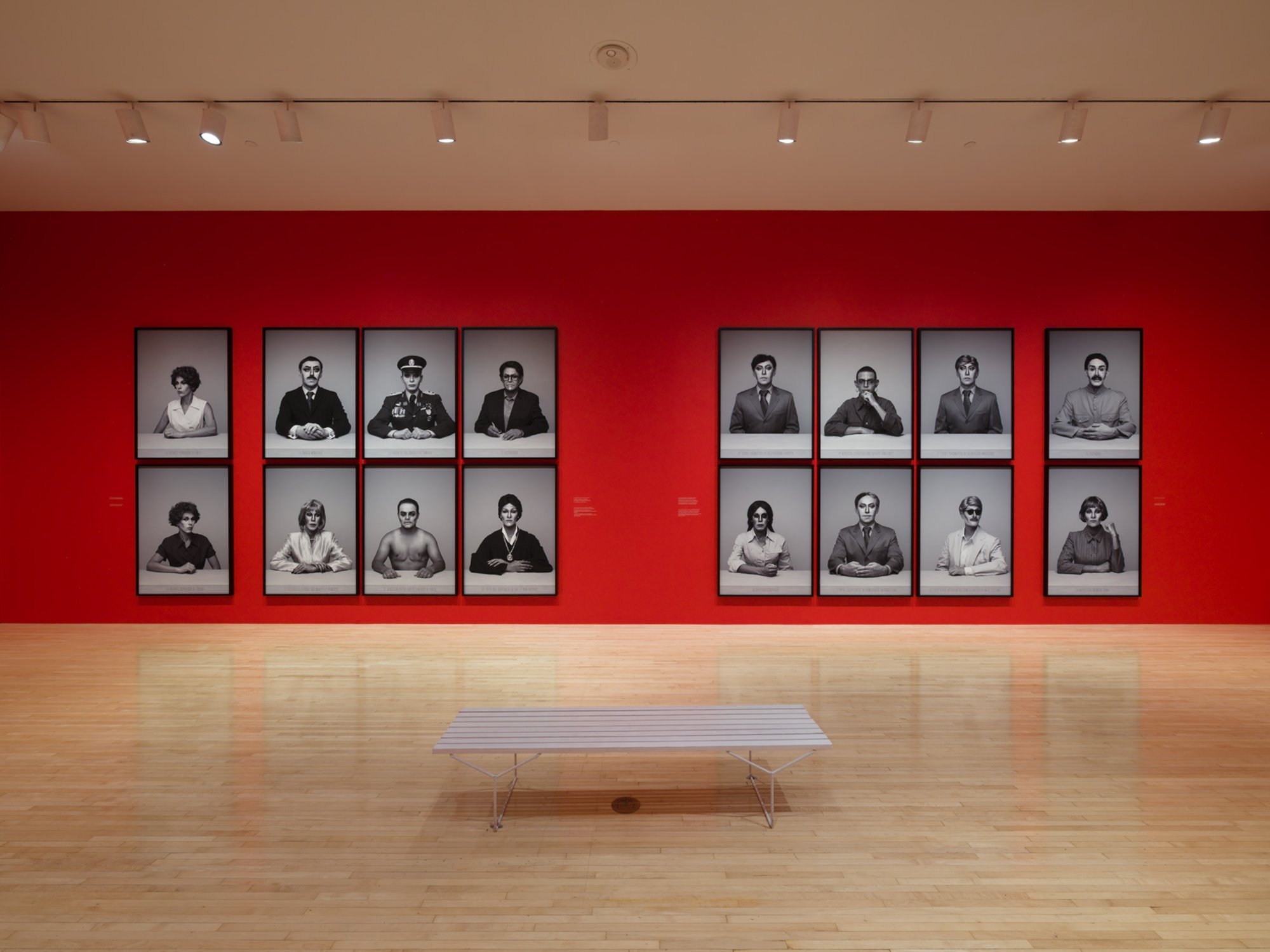 Curator-led Walkthrough of Alexander Apóstol, Regime: Dramatis Personae