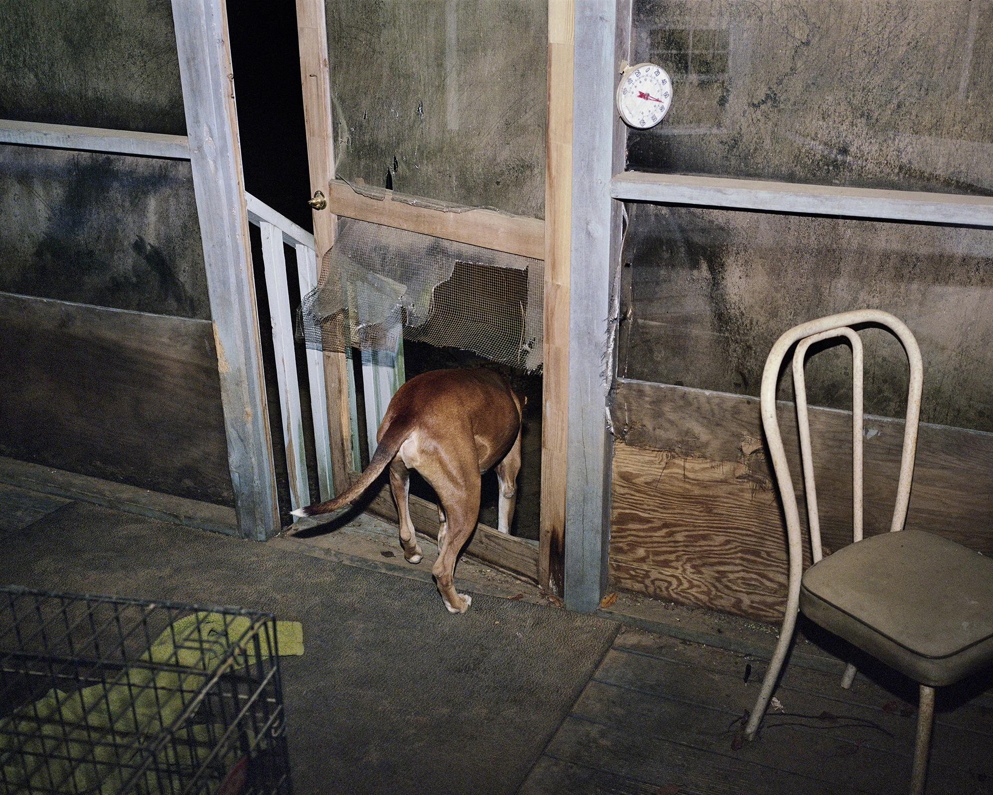 Curran Hatleberg: River's Dream, 2010-2020
