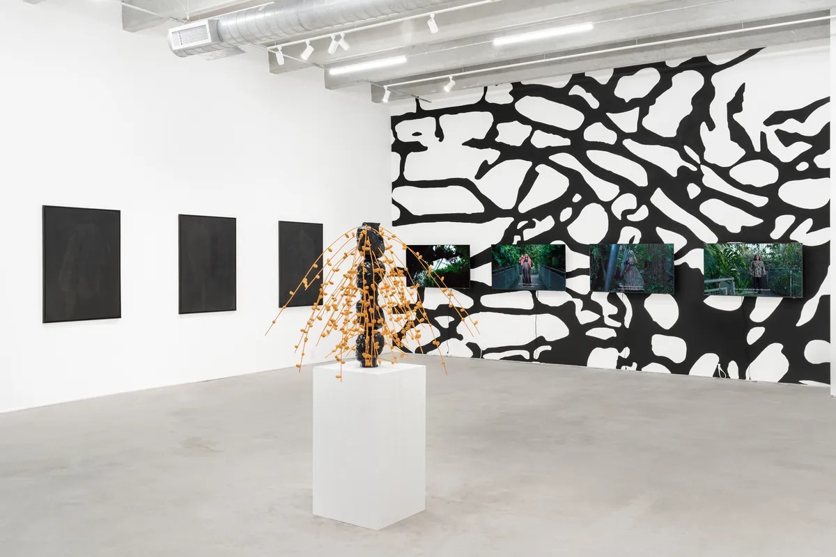 Mehdi-Georges Lahlou: Always Looking at Palm Trees - A Botanical Conversation