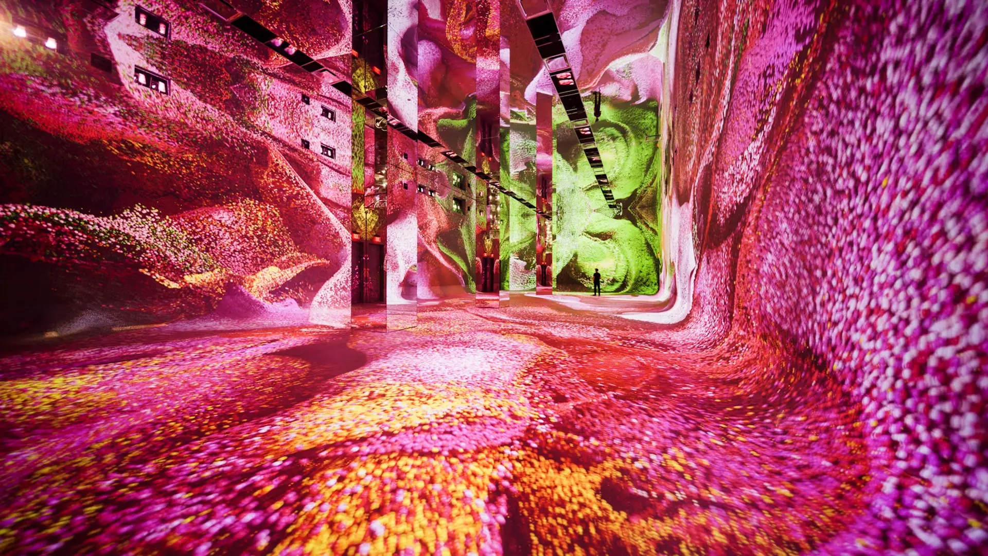 Machine Dreams: Rainforest