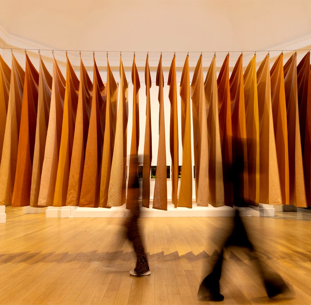 Andy Goldsworthy: Red Flags