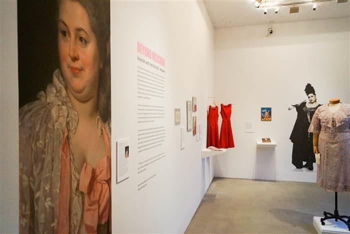 MFA 1st Year Costume Studies