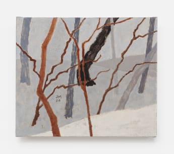 Installation view, Prairie Cloth & Northern Pine, 2026 (12)