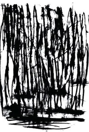 Installation view, The New England Drawings, 2001-2008, Ceres