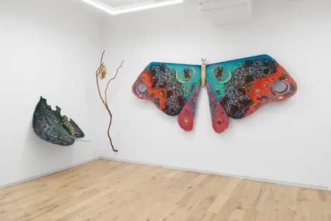 Installation view, Underbelly Bloom, DIMIN · 2025 (1)