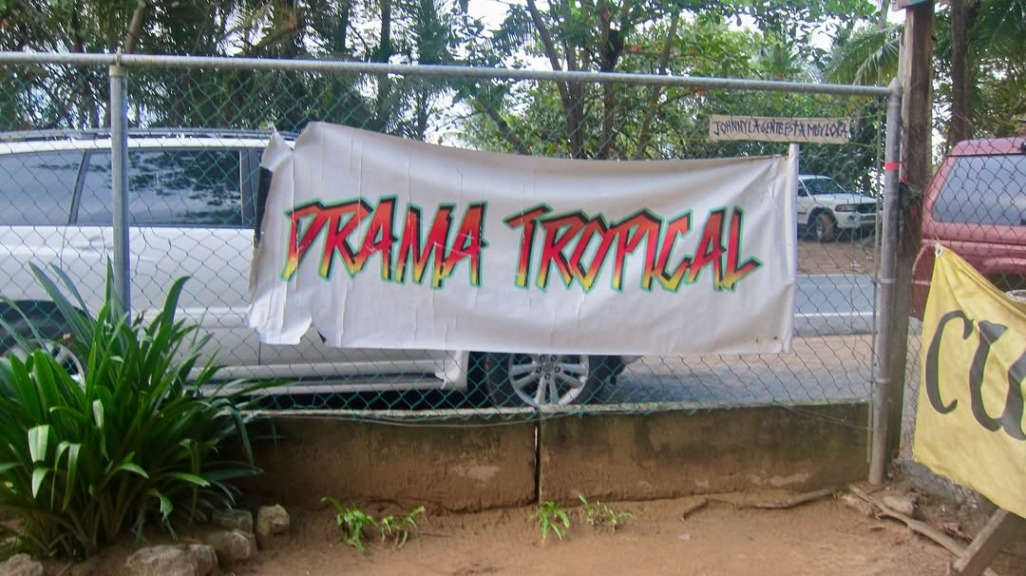 Flag Series: Katalina Iturralde, Banner Series 1, 2026