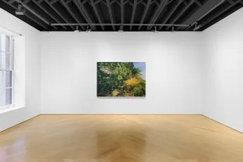 Installation view, Landscapes, Anton Kern Gallery · 2025 (1)