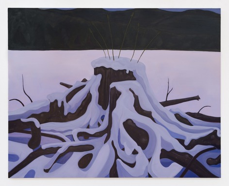 Installation view, Viewshed, Bookstein Projects · 2026 (5)