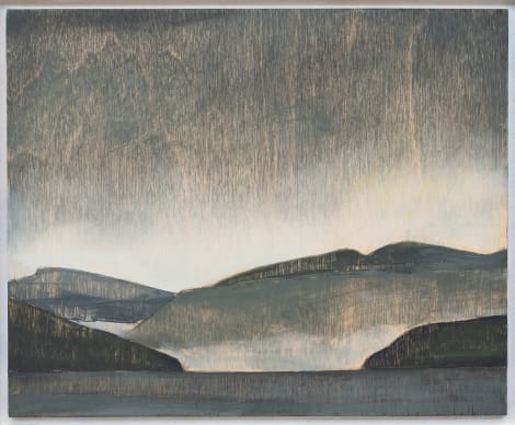 Installation view, Untitled Landscape, Wilding Cran Gallery · 2026 (11)