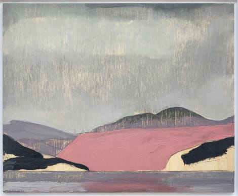 Installation view, Untitled Landscape, Wilding Cran Gallery · 2026 (10)