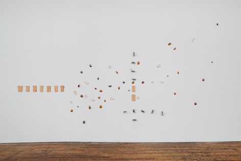 Installation view, Stacks and Ledgers, Peter Freeman, Inc. · 2025 (7)