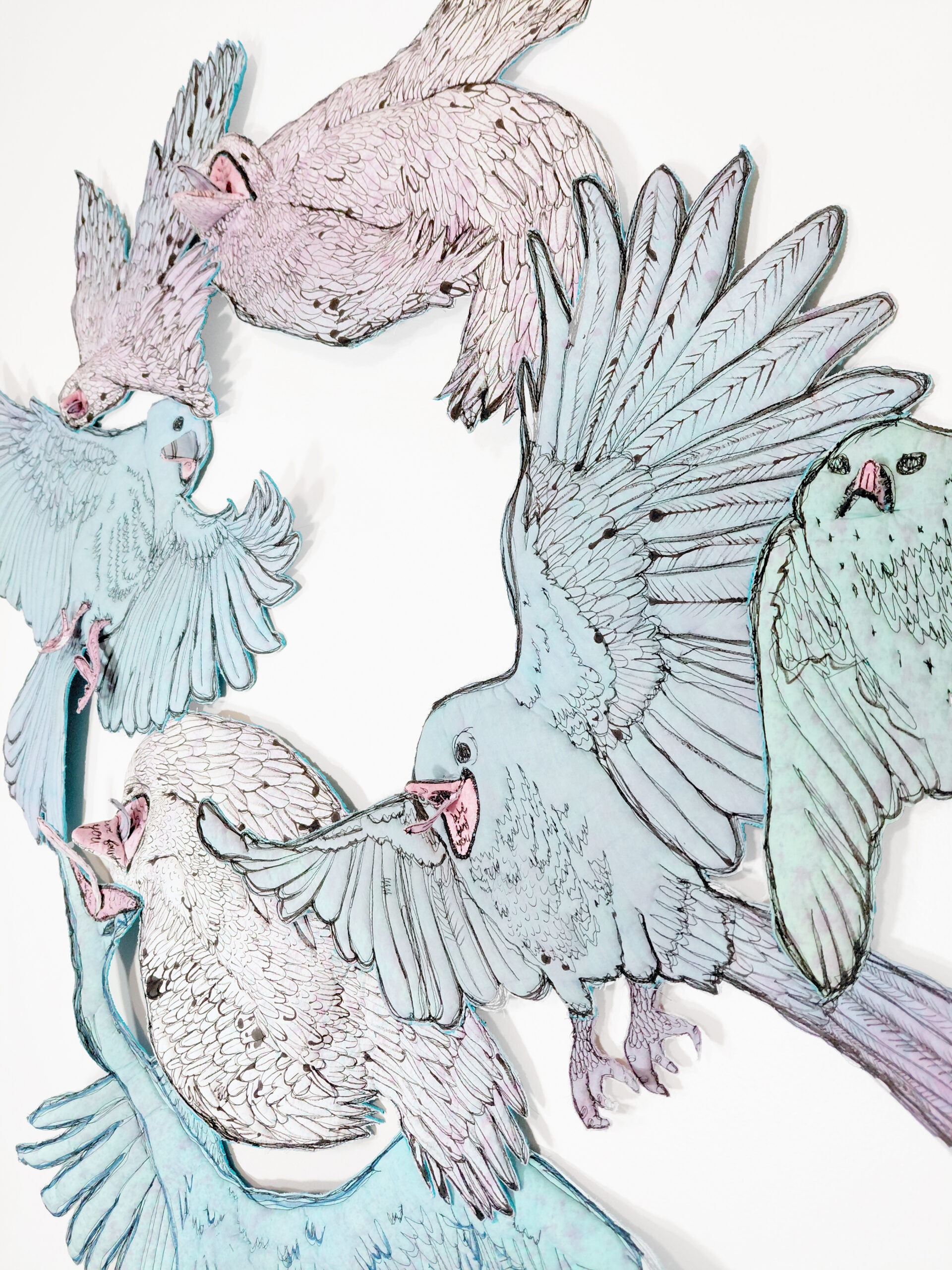 Jen Clay: I've seen a bird before