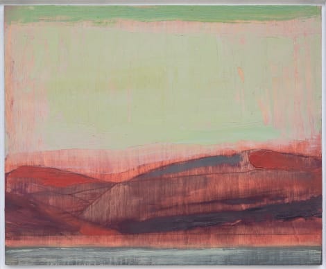 Installation view, Untitled Landscape, Wilding Cran Gallery · 2026 (12)
