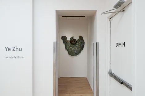Installation view, Underbelly Bloom, DIMIN · 2025 (2)
