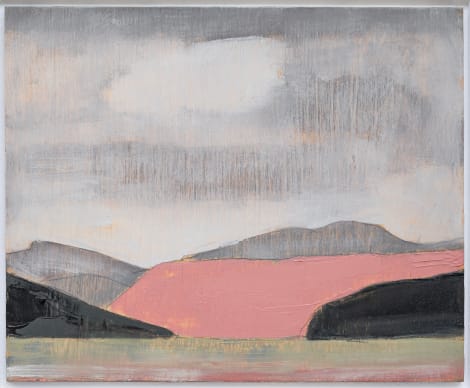 Installation view, Untitled Landscape, Wilding Cran Gallery · 2026 (13)