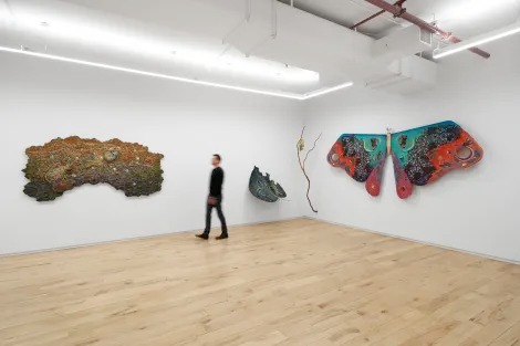 Installation view, Underbelly Bloom, DIMIN · 2025 (6)