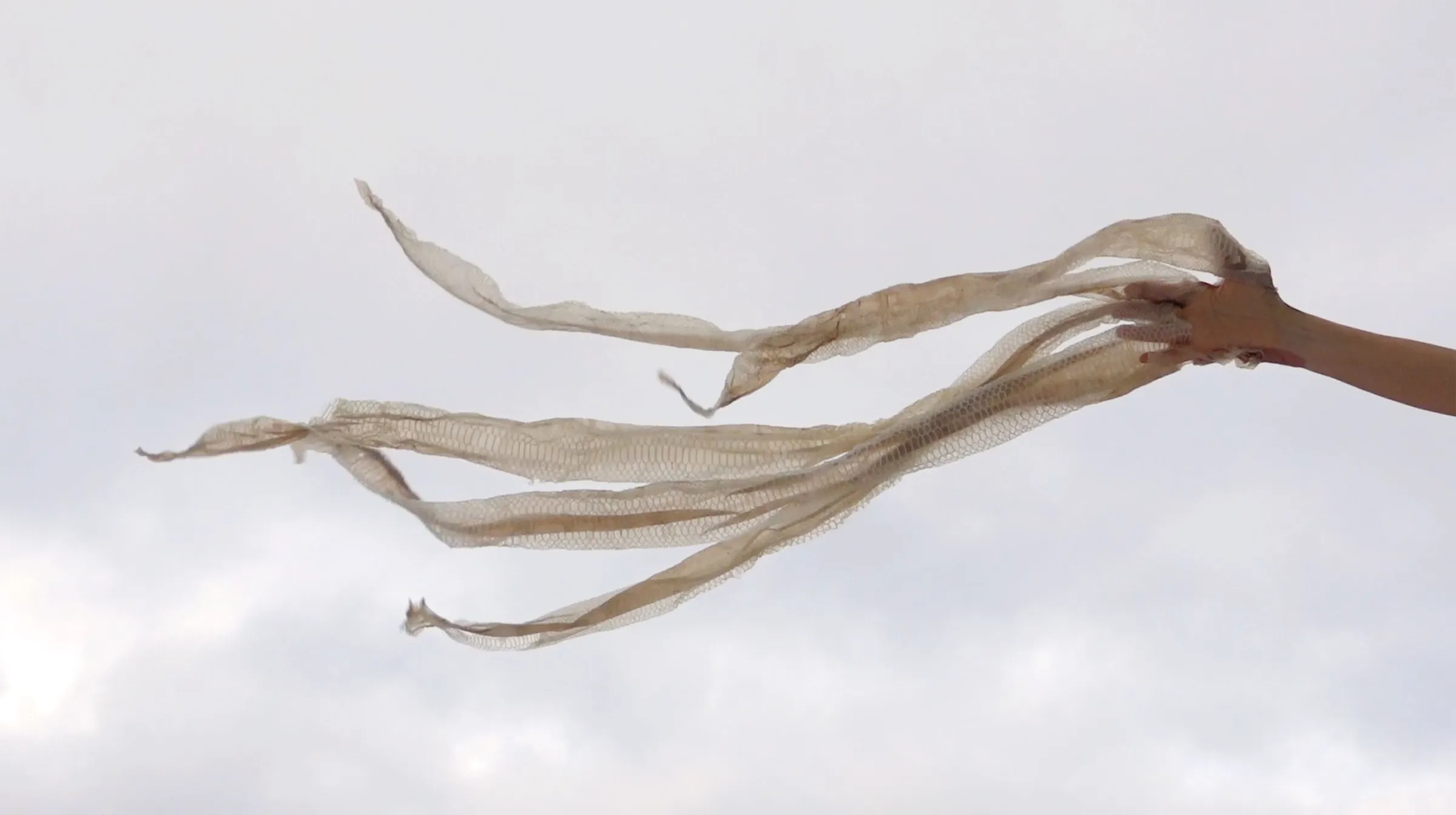 Edith Dekyndt Notes on What is What