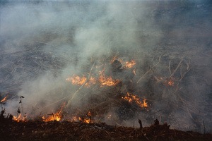 Installation view, Geography, Dashwood Projects