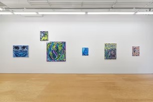 Installation view, C0LL3C70R 613, High Noon Gallery · 2026 (4)