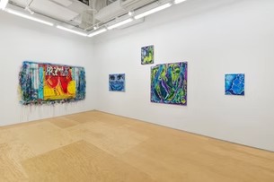 Installation view, C0LL3C70R 613, High Noon Gallery · 2026 (5)