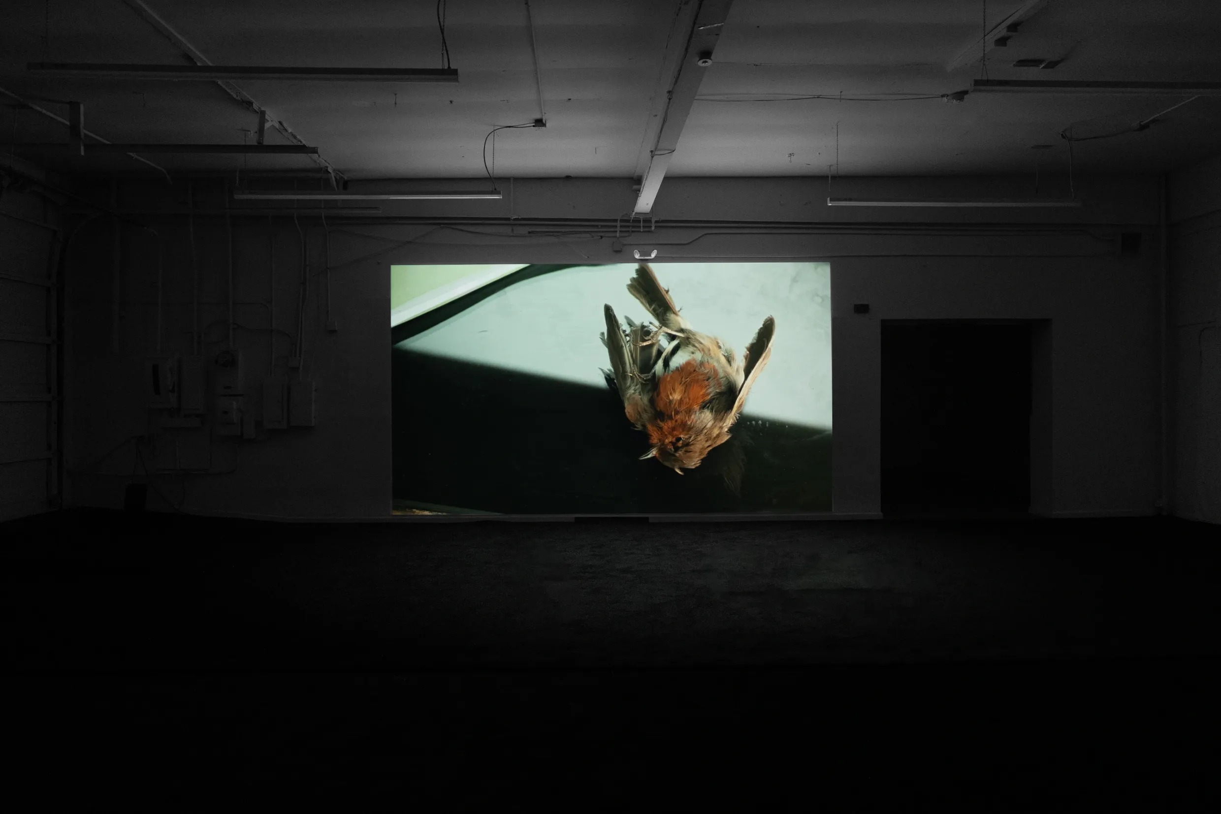 Artwrld | The Lightless Hours