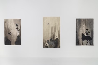 Installation view, Waking Dreams, Planthouse · 2025 (1)