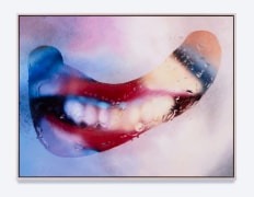 Installation view, Marilyn Minter, Regen Projects · 2025 (9)