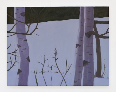 Installation view, Viewshed, Bookstein Projects